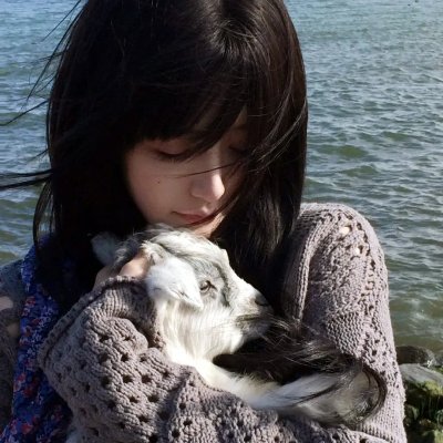 爱上华尔街之狼